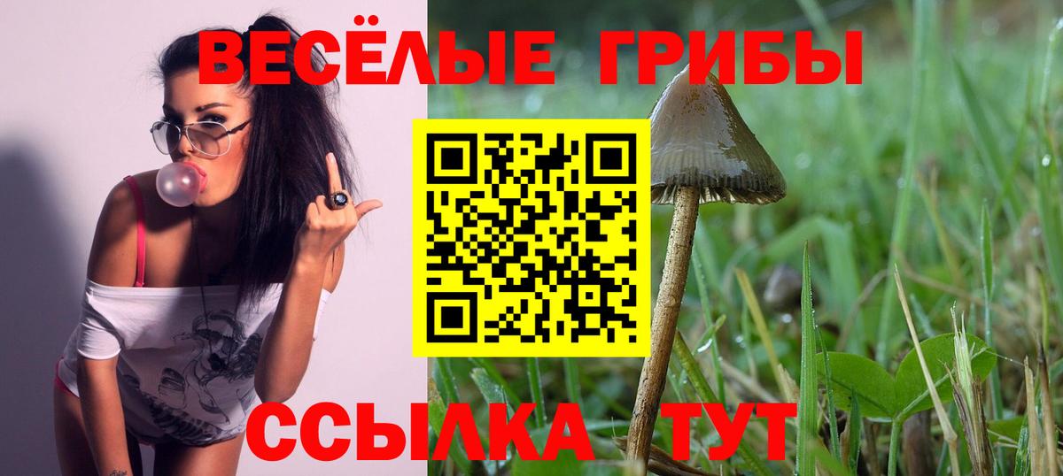 Галлюциногенные грибы Psilocybe  хочу   Галлюциногенные грибы Psilocybine cubensis  Красный Сулин  Вход с VPN 